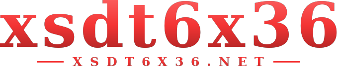 xsdt6x36 logo
